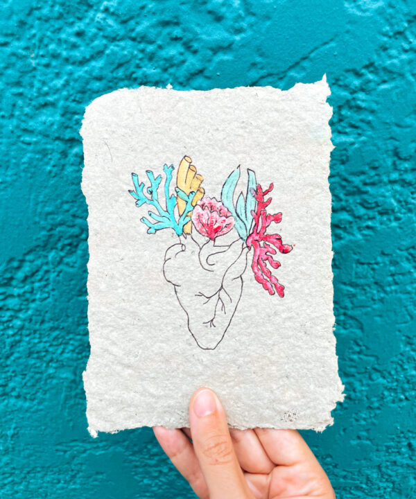 CORAZÓN MARINO