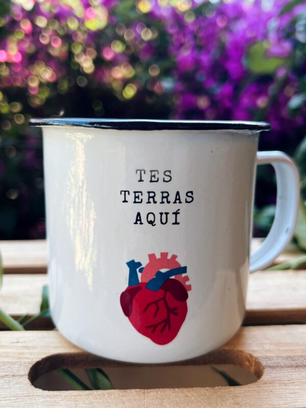 TES TERRAS AQUÍ - Imaxe 2