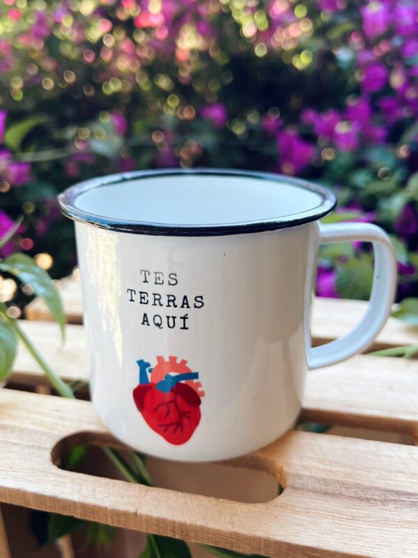 TES TERRAS AQUÍ - Imaxe 3