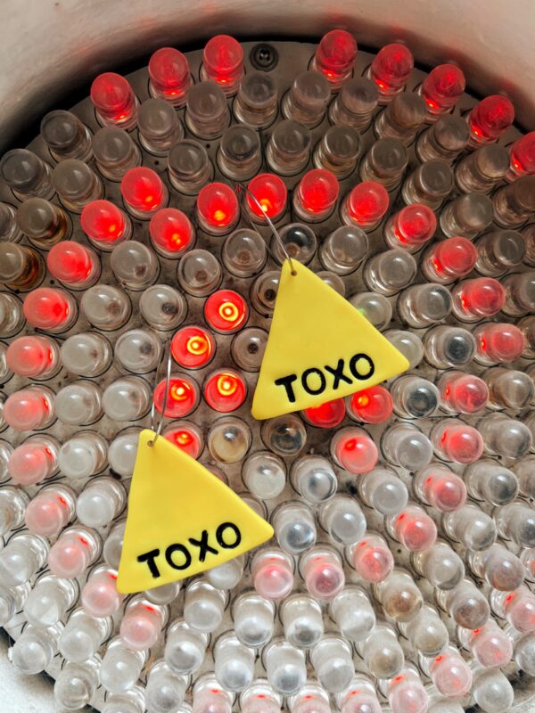 TOXO - Imaxe 2
