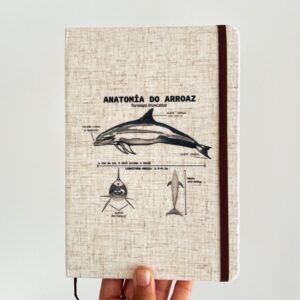 ANATOMÍA DO ARROAZ