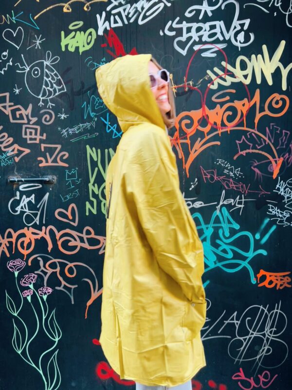 SEICA CHOVE - Imaxe 3