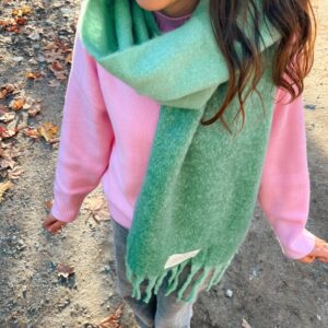 FAI UN FRÍO QUE MATA PINJUINOS